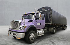 Patinetas transporte carga masiva